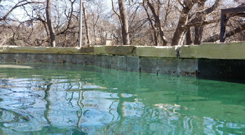 image of crack in mortar between pool coping and pool tile